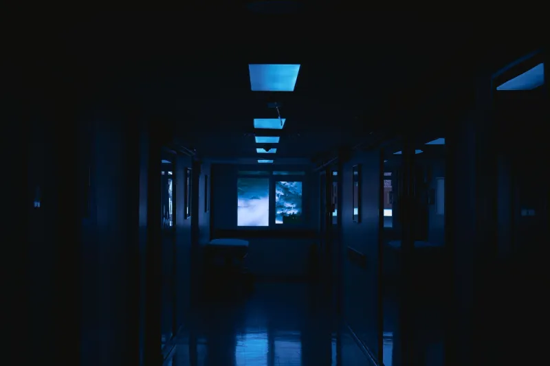 The Scare You Never Heard Coming: How Japanese Horror Makes Silence Do the Dirty Work
